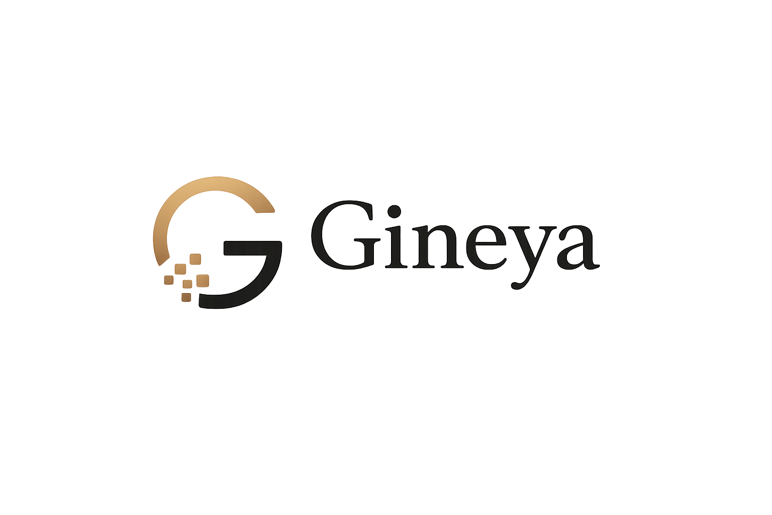 Gineya — IT & Media Solutions